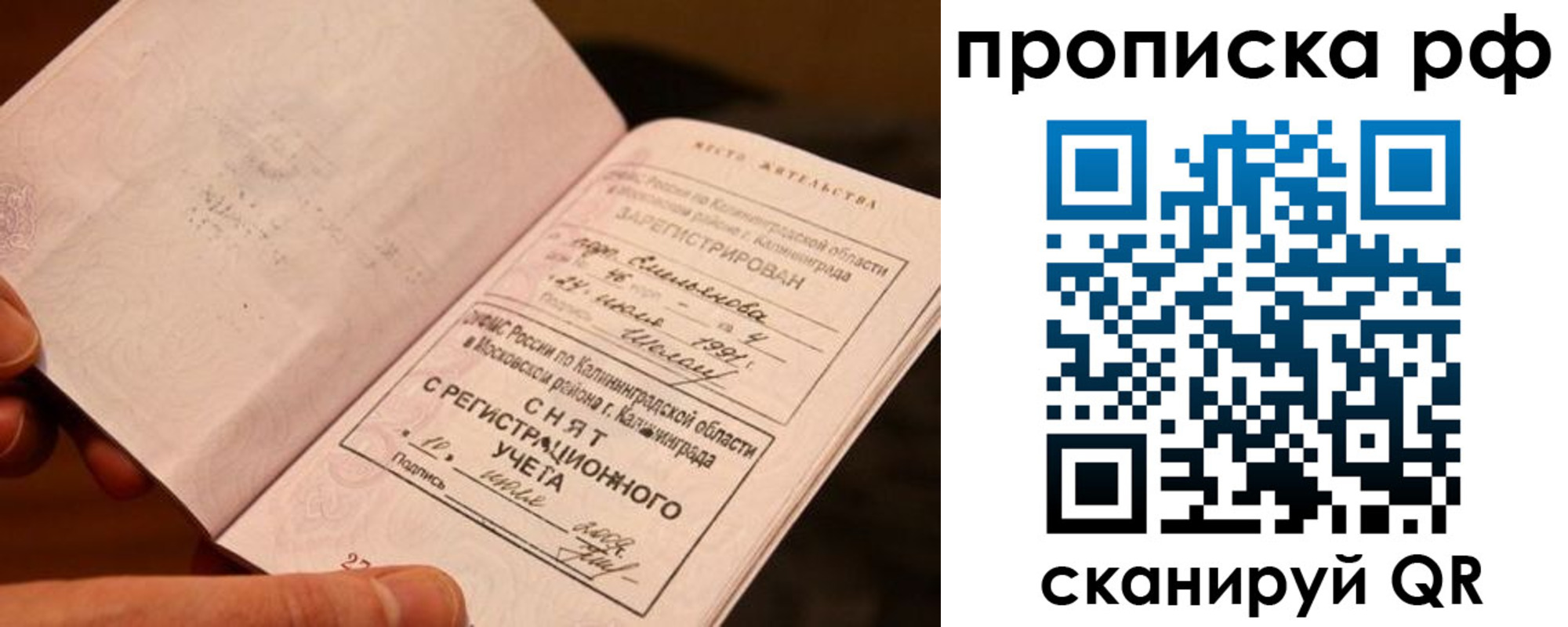 прописка гарантия в Октябрьском